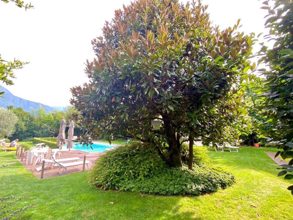 Abies Lago Di Como Dongo Exterior photo